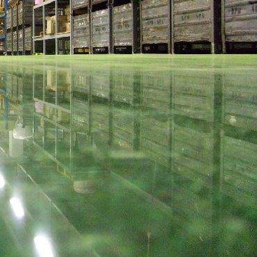 Полированные полы